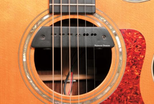 Alles Ber Akustik Pickups Gitarre Bass