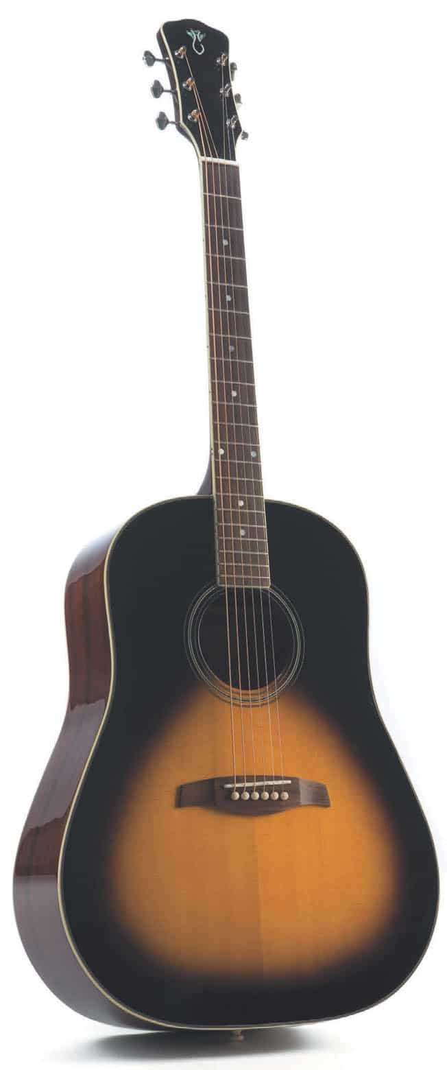 Roundshoulder Dreadnought Steelstring von Levinson, stehend