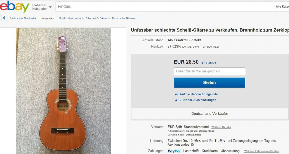 Ebay Gitarre