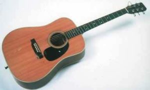 Martin-D28