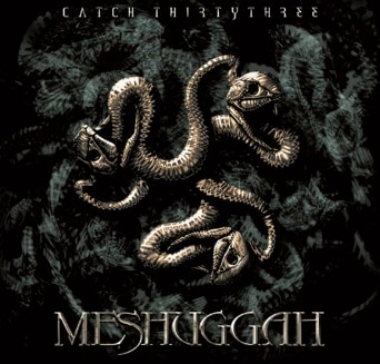 Meshuggah-3