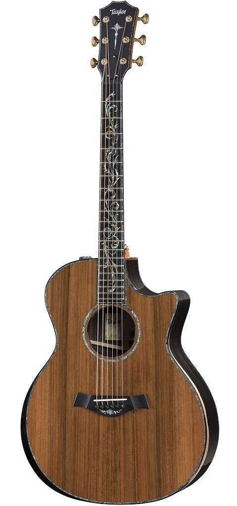 Taylor-PS14ce-2