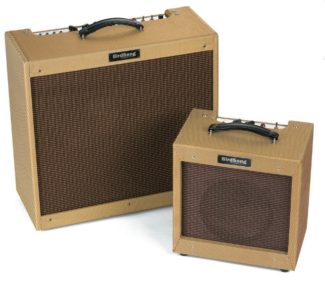 BirdSong Amplification Kestrel Falcon