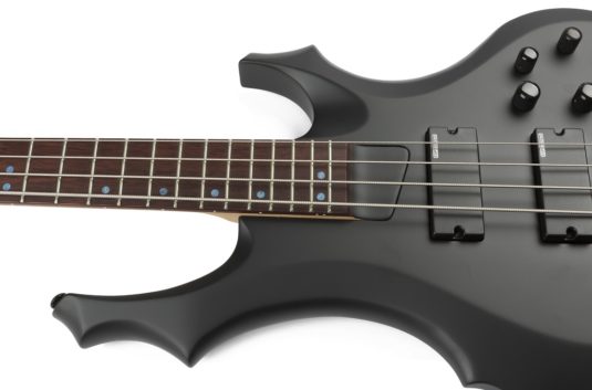 Test Esp Ltd F 204 Und F 1004 Deluxe Gitarre And Bass